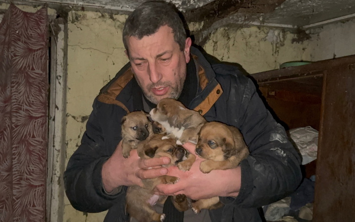 Mężczyzna trzymający szczenięta w rękach w zniszczonym pomieszczeniu.