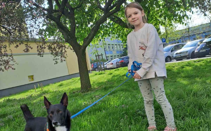 Zbiórka Wymarzony rowerek dla Tonyi - zdjęcie główne