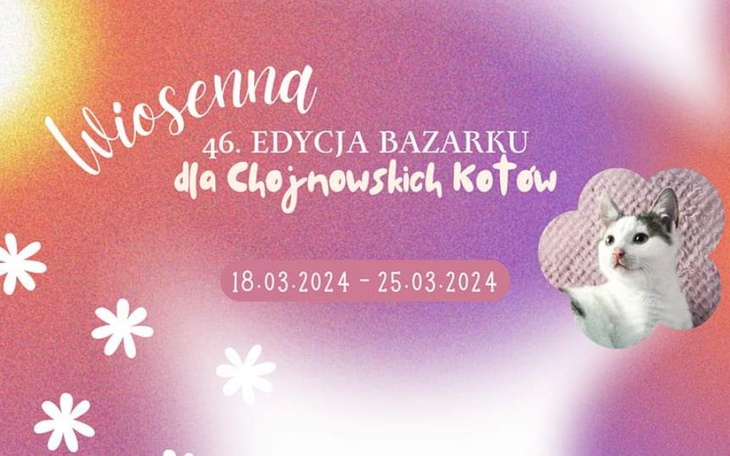 Zbiórka 46 Edycja Barzarku - zdjęcie główne