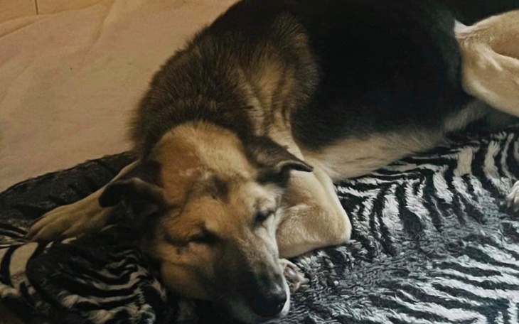 Zbiórka Jędrek - zdjęcie główne