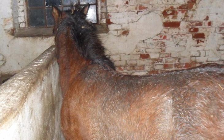 Zbiórka Bez imienia, bez nadziei - zdjęcie główne