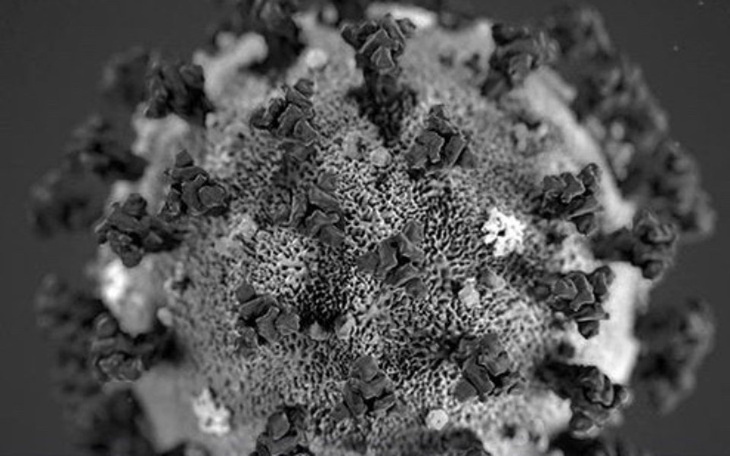 Zbiórka Walka z wirusem - zdjęcie główne