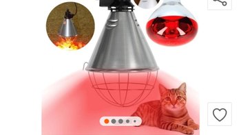 Zbiórka Lampa dla kociaków - miniaturka zdjęcia