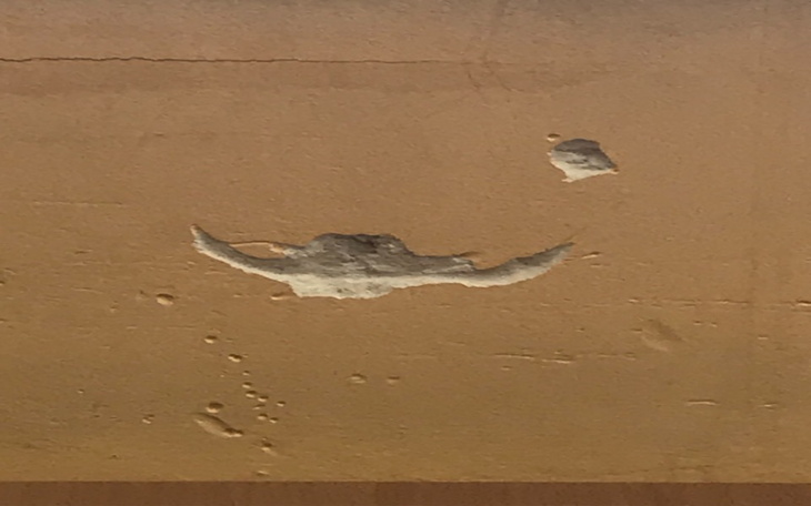 Zbiórka Na farbę i tynk do domu - zdjęcie główne