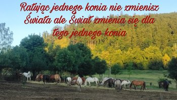 Zbiórka Czy damy radę? - miniaturka zdjęcia