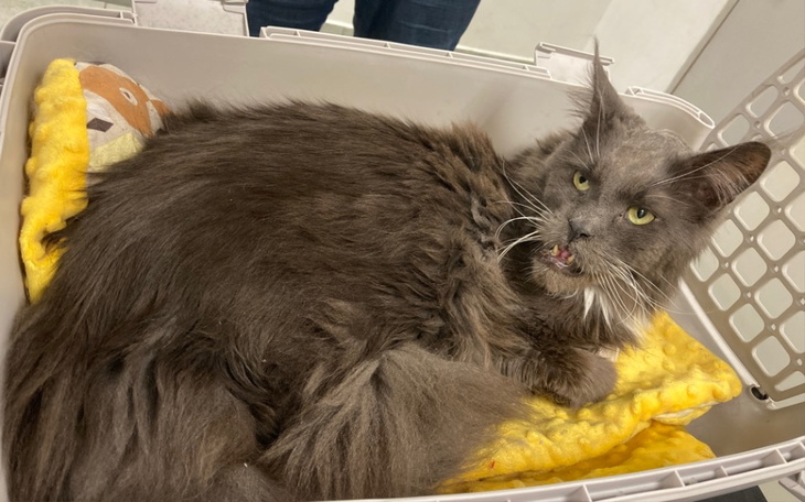 Zbiórka Prezes Ryszard - zdjęcie główne