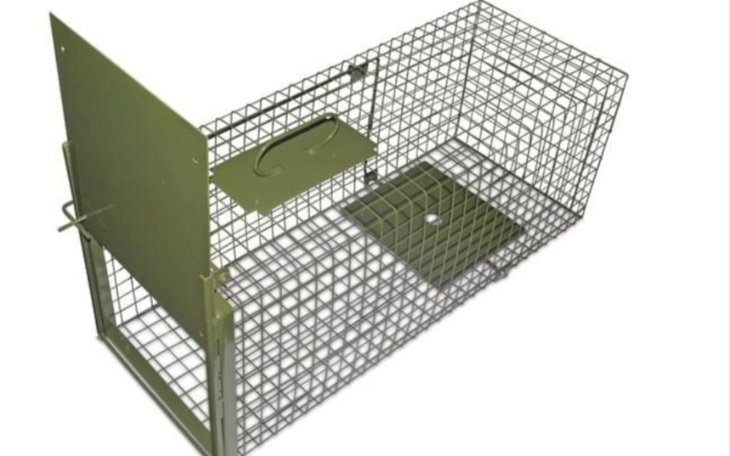 Zbiórka Zbiórka na klatki żywołapki - zdjęcie główne