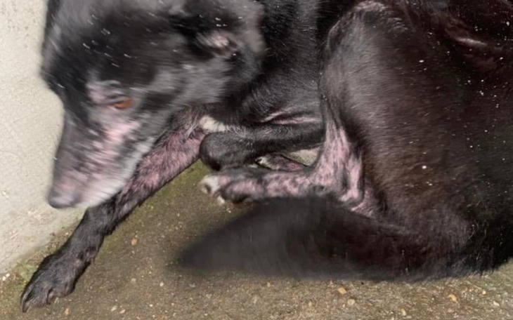 Zbiórka Gabi potrzebuje Twojej pomocy - zdjęcie główne