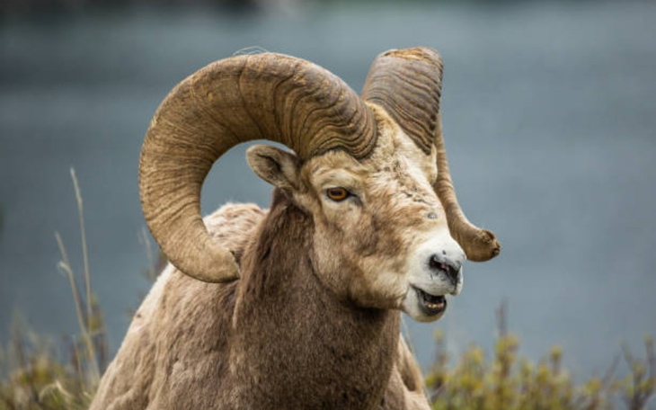 Zbiórka Na uwolnienie się od banksterów - zdjęcie główne