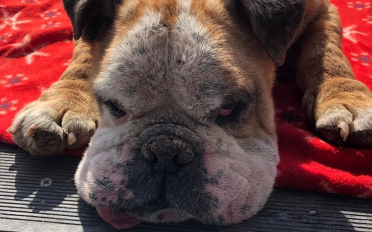 Zbiórka Dla Henia, dokończenie leczenia - zdjęcie główne