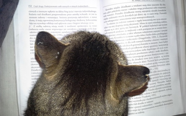 Zbiórka Lokal mieszkalny - zdjęcie główne