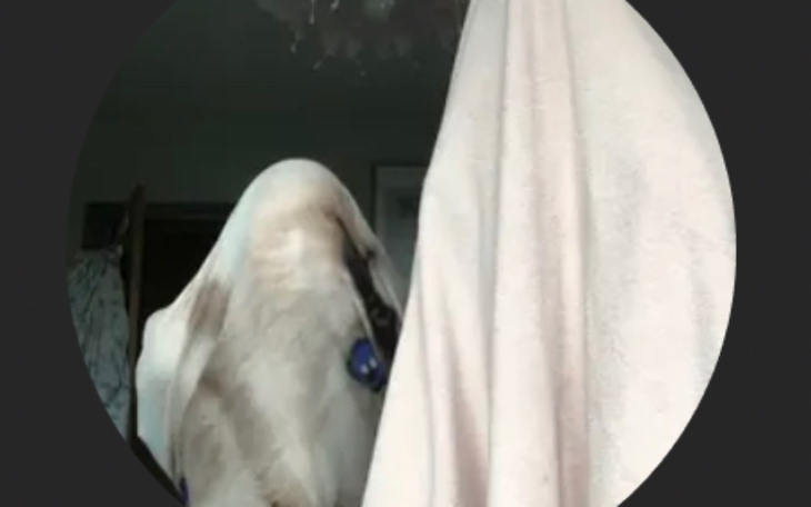 Zbiórka Zbieramy na kocyk - zdjęcie główne