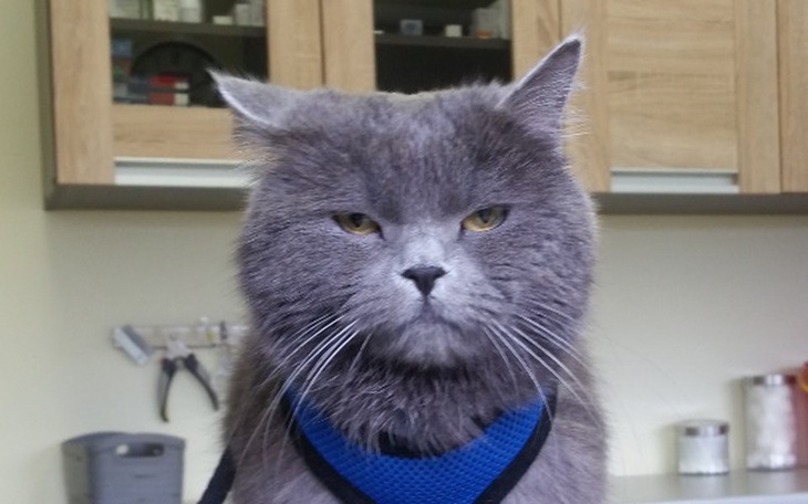 Zbiórka Gówniakowe szczęście 💩💩 - zdjęcie główne