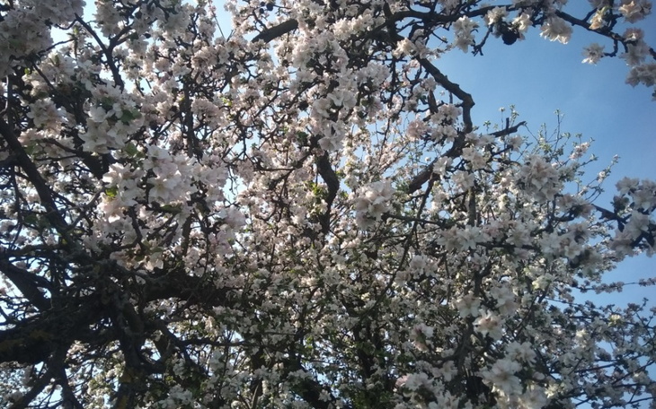 Zbiórka Na mały kąt dla siebie i dziecka - zdjęcie główne