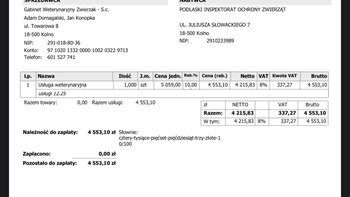 Zbiórka Faktury do spłacenia - miniaturka zdjęcia