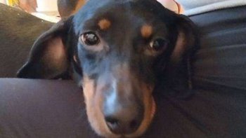 Zbiórka Nuria kontra padaczka. - miniaturka zdjęcia