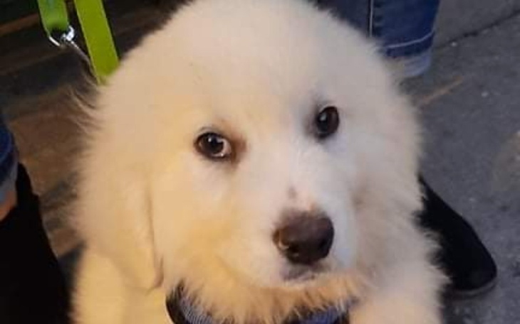 Zbiórka Ratujmy Górala - zdjęcie główne