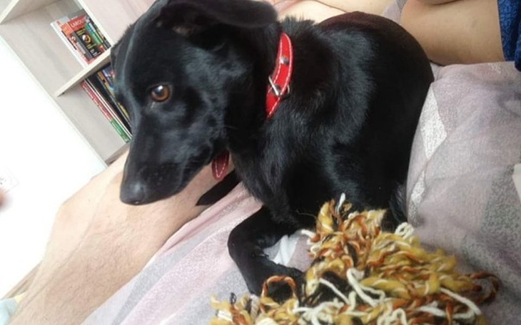 Zbiórka Deisy - niechciana i oddawana. - zdjęcie główne