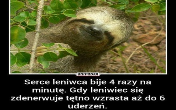 Zbiórka Na własną pierwszą firmę - zdjęcie główne