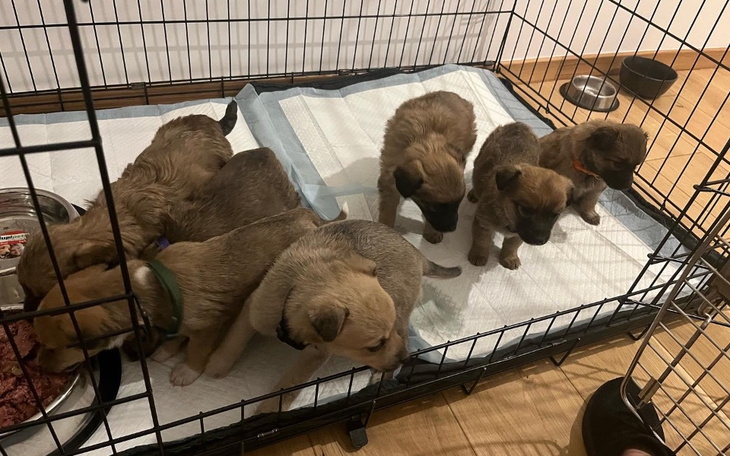 Zbiórka Porzucone przez matkę - zdjęcie główne