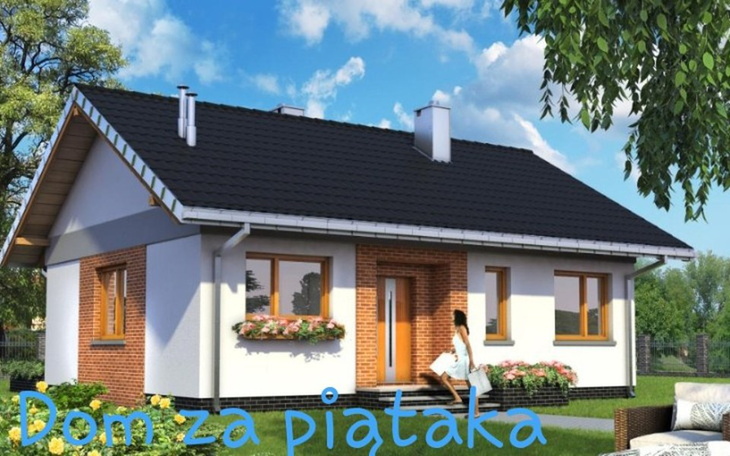 Zbiórka Dom za piątak - zdjęcie główne
