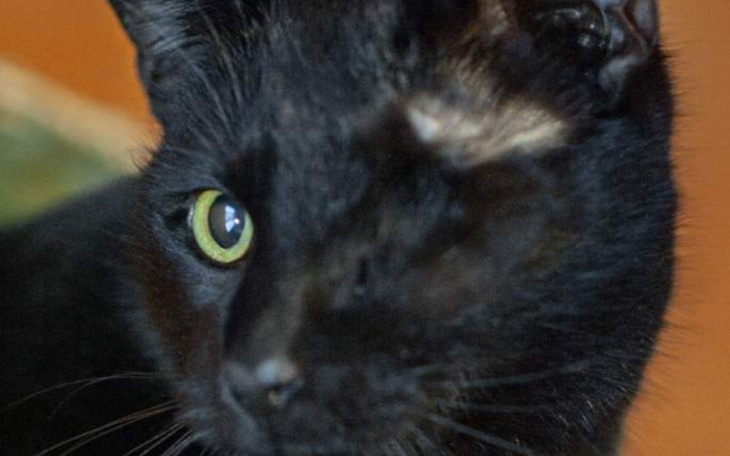 Zbiórka Urodziny Wojtka Kota - zdjęcie główne