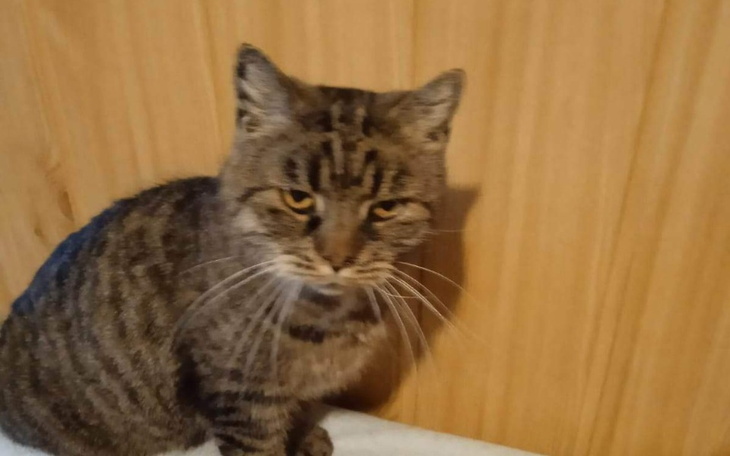 Zbiórka Na spokojne dożycie. - zdjęcie główne