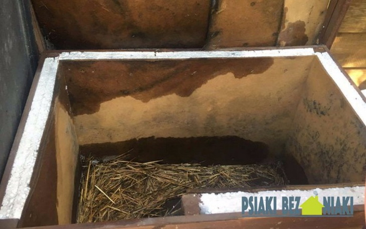 Zbiórka Renowacja bud dla bezdomniaków - zdjęcie główne