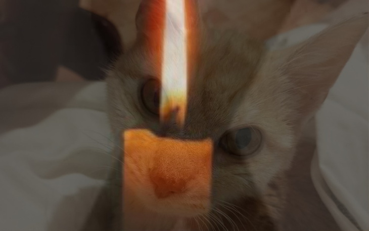 Zbiórka Pamięci Kumby - zdjęcie główne