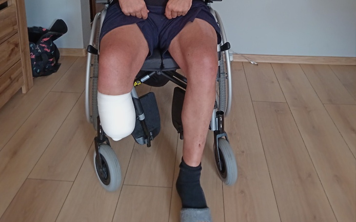 Zbiórka Ptoteza - zdjęcie główne