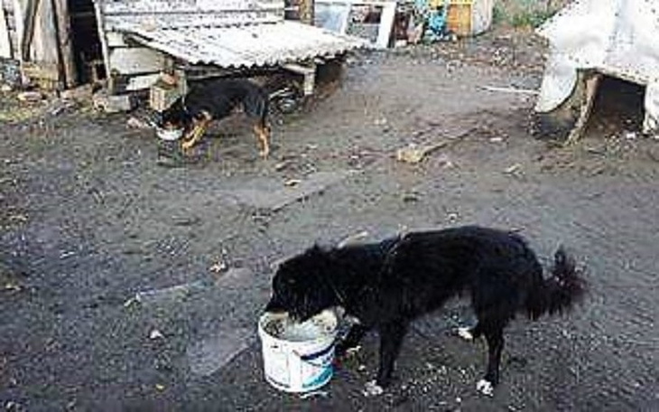 Zbiórka Łańcuchowy żywot... - zdjęcie główne