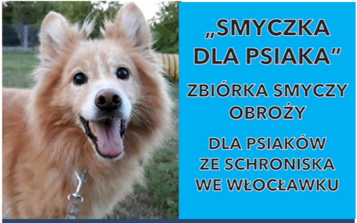 Zbiórka Smyczka dla psiaka - zdjęcie główne