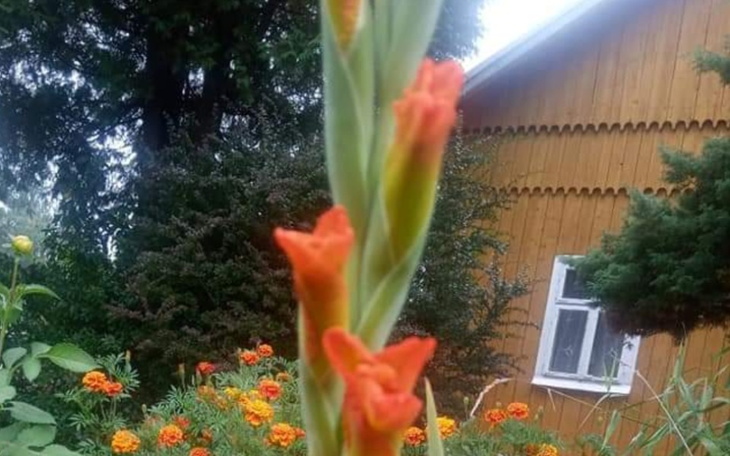 Zbiórka Remont domu po śmierci taty - zdjęcie główne