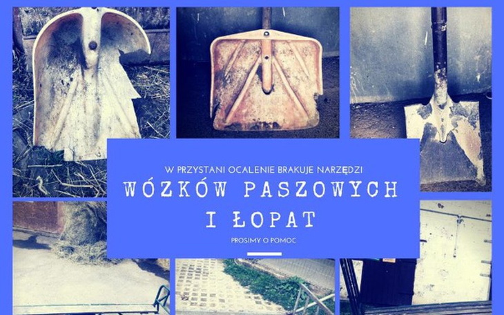 Zbiórka Narzędzia  pilnie potrzebne... - zdjęcie główne