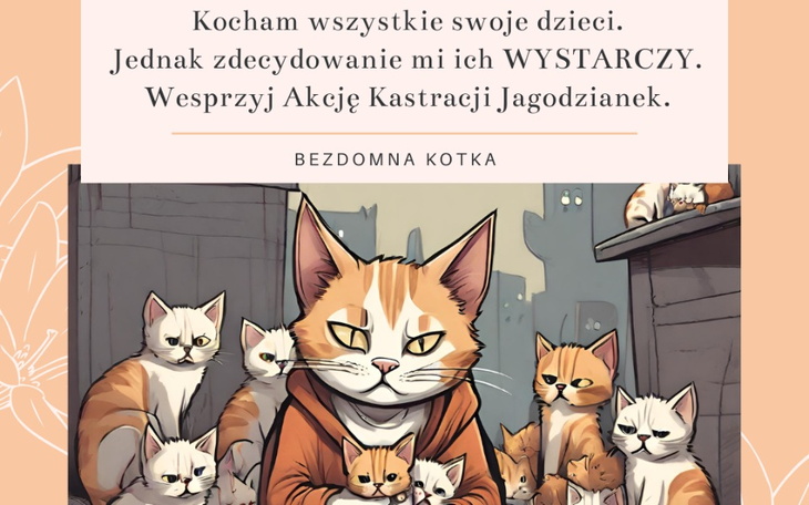Zbiórka Zabiegi kastracji - zdjęcie główne