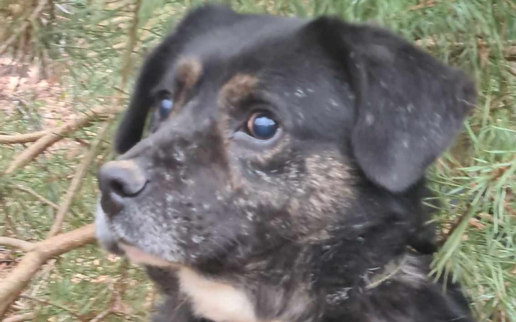 Zbiórka Przed nami kolejny miesiąc - zdjęcie główne