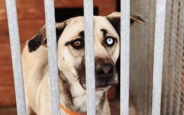 Zbiórka Przetrwać trudny czas... - zdjęcie główne