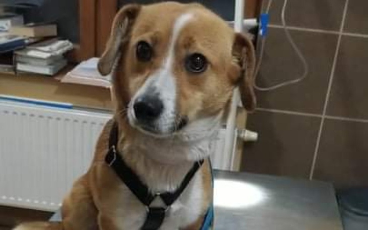 Zbiórka Polska wieś XXI wieku - zdjęcie główne