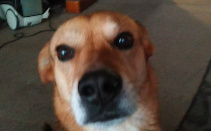 Zbiórka Zbieram na kolana Zuzi - zdjęcie główne