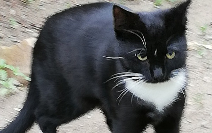 Zbiórka Leczenie z białaczki - zdjęcie główne