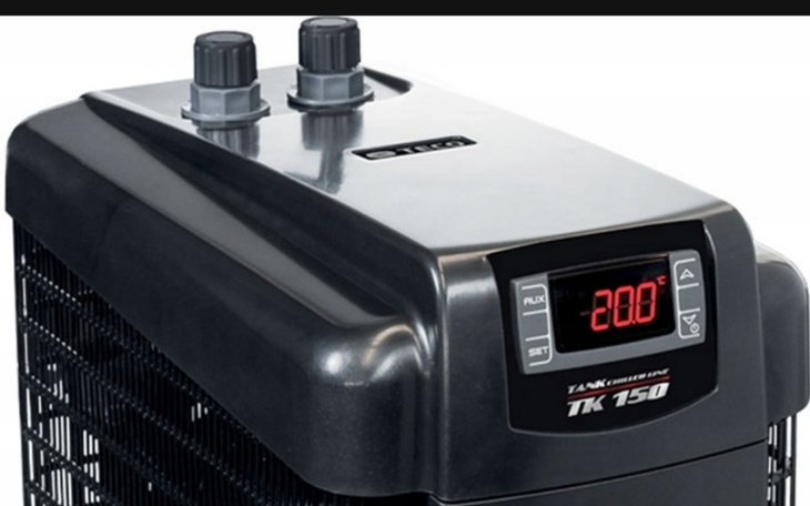 Zbiórka hłodziarkę akwarystyczną - zdjęcie główne