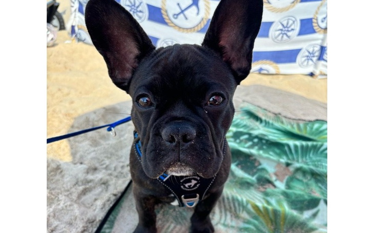 Zbiórka Walka o lepsze jutro Kaktusa - zdjęcie główne