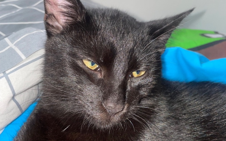 Zbiórka spelnienie marzen mlodej osoby.. - zdjęcie główne