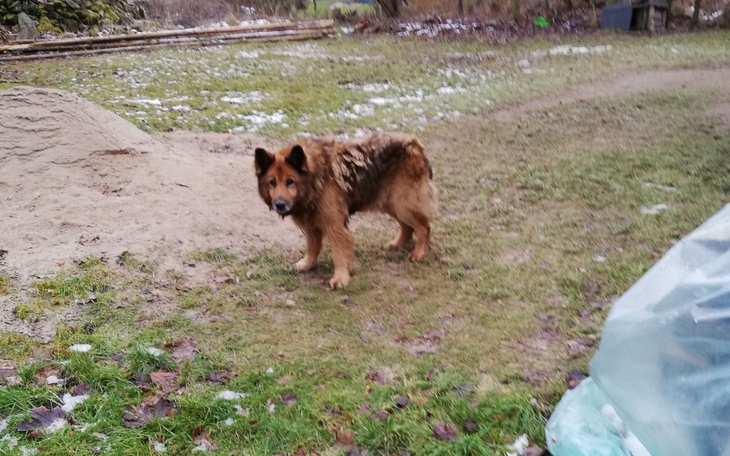 Zbiórka Dla dziadka na starość - zdjęcie główne