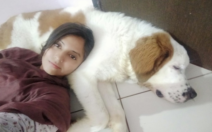 Zbiórka Pomóżcie mi odzyskać psa - zdjęcie główne