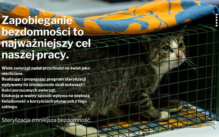 Zbiórka Klatka łapka 2 - zdjęcie główne