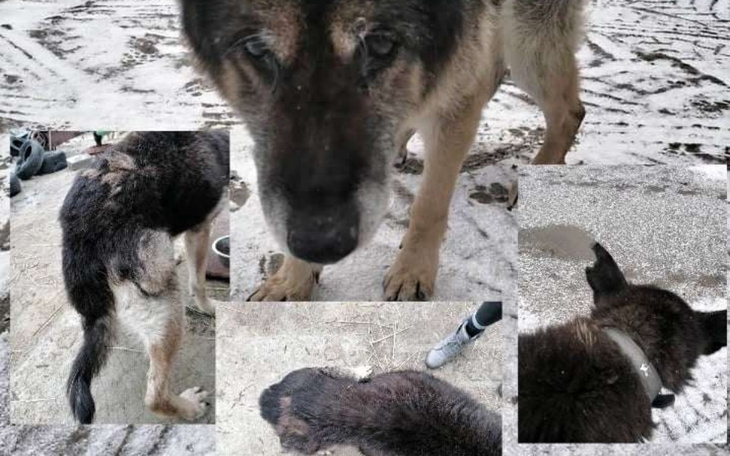 Zbiórka Na godny koniec życia .Pomóżcie - zdjęcie główne