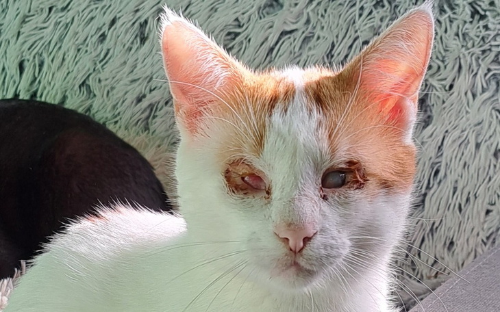 Zbiórka Kiedy ból niszczy życie... - zdjęcie główne