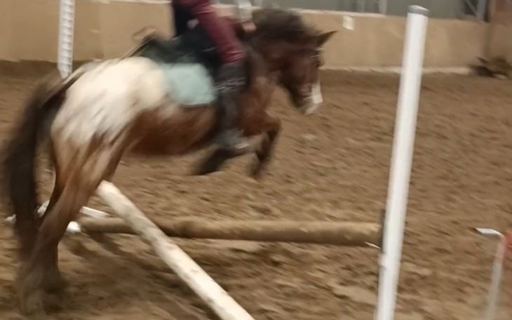 Zbiórka Pomoc dla mojej córkii - zdjęcie główne