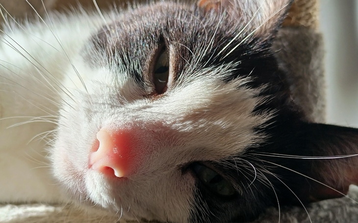 Zbiórka Świąteczny Kitkowy Bazarek - zdjęcie główne